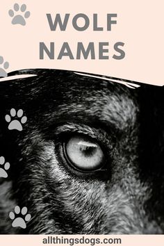 a black and white photo of a dog's eye with the words wolf names above it