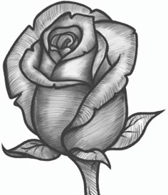 a black and white drawing of a rose