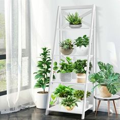 a white shelf filled with potted plants on top of a hard wood floor next to a window