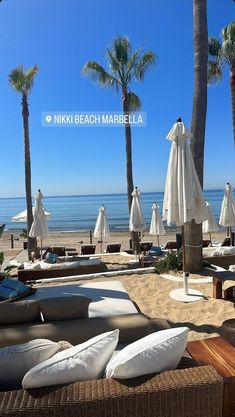 lounge chairs and umbrellas on the beach with palm trees in the foreground, next to the ocean