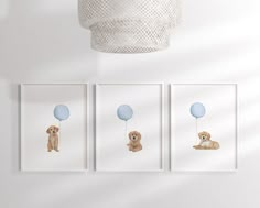 three pictures of dogs with blue balloons hanging on the wall in front of a light fixture