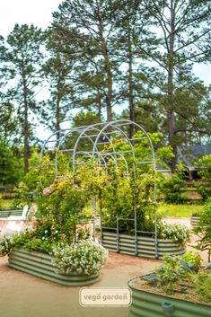 a garden filled with lots of different types of flowers and plants in metal planters