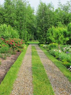 a garden with lots of flowers and trees