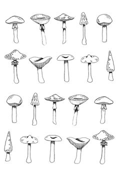 Mushroom illustrations using fine liner for detail. Fine Liner Pen Art, Mushroom Illustrations, Fine Liner Pen, Artwork Portfolio, Painting Mixed Media, Illustration Painting, Pen Art, Pen Drawing