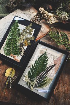 two framed pictures with ferns and other plants on top of a wooden table next to an open book