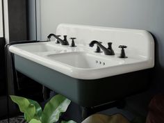 two black faucets are sitting next to a white sink in a room with green plants