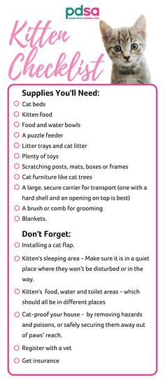 the kitten checklist is shown with instructions for cats to use it in their house