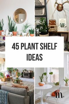 the words, 45 plant shelf ideas are shown in four different pictures with plants on them