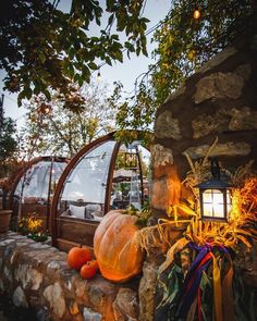 pumpkins and gourds are on display in front of a stone wall with a lantern