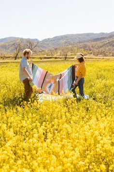 Nipomo Tierra Fresca - Blanket Roll Nipomo Blanket Roll, Modern Blankets, Notions Bag, Beginning Of Spring, Free Yarn, Mexican Blanket, Yarn For Sale, Lace Weight Yarn, Spring Blossoms