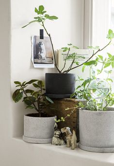 three pots with plants in them sitting on a window sill next to a small figurine