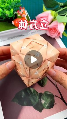 someone is holding an origami flower in front of some flowers and text that reads,