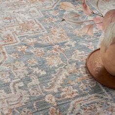 a blue and beige area rug with a plant on top of it, next to a brown hat