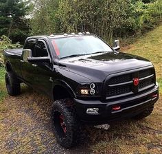 a black truck parked on top of a grass covered field