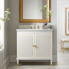 a bathroom vanity with a mirror above it and a plant on the counter next to it