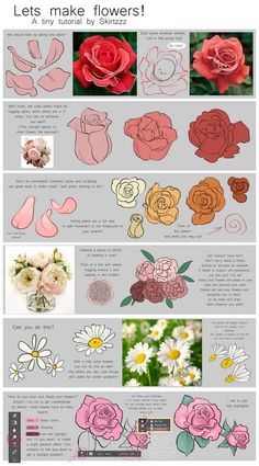 an image of flowers that are in different colors