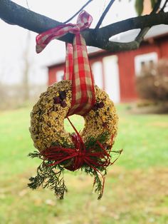 a wreath hanging from a tree in front of a barn