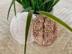 two crocheted potholders sitting on top of a bed next to green plants