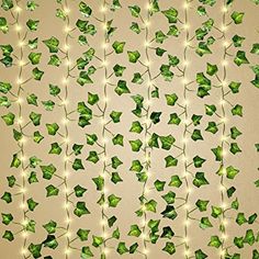 green ivy leaves with white lights hanging from the ceiling