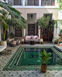 an instagram page with a pool in the middle and lots of potted plants