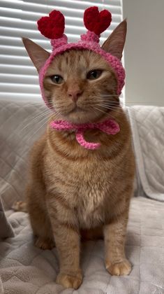 a cat wearing a pink knitted hat with hearts on it's head and ears