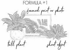 a drawing of some plants in a pot with the words formal written on it and an image of another plant