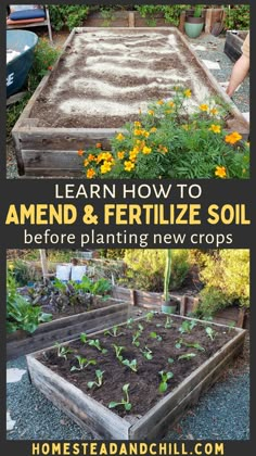 the garden is full of plants and dirt with text overlay that reads learn how to amen & fertiize soil before planting new crops