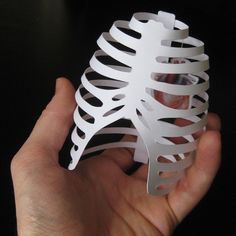 a hand holding a white model of a human ribcage in it's palm