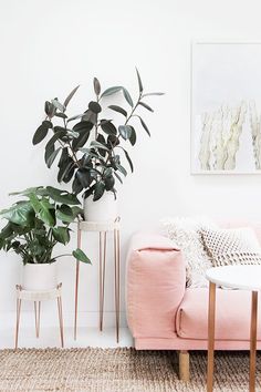 a living room filled with furniture and a potted plant