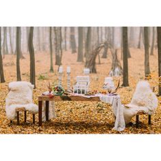 two chairs and a table in the woods