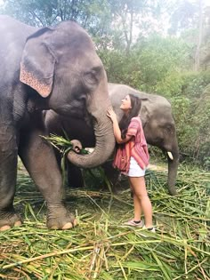 a woman standing next to an elephant eating grass