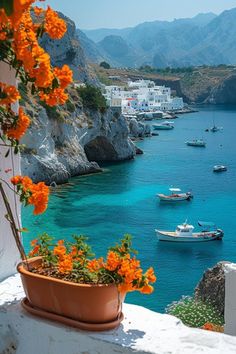 boats are floating in the water near some buildings and flowers with orange blooms growing out of them