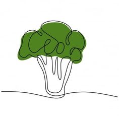 a drawing of a broccoli on a white background