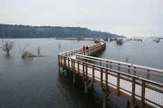 two people are walking across a bridge in the middle of flood waters on a cloudy day