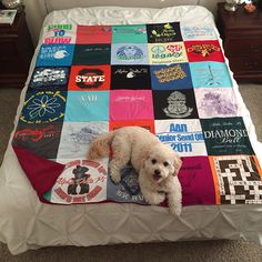 a white dog laying on top of a bed covered in t - shirt sheets and blankets