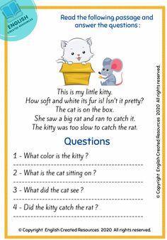 a worksheet for reading the cat and mouse