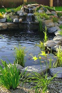 a small pond surrounded by rocks and plants in the middle of a yard with water flowing from it