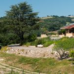 the house is surrounded by trees and rocks