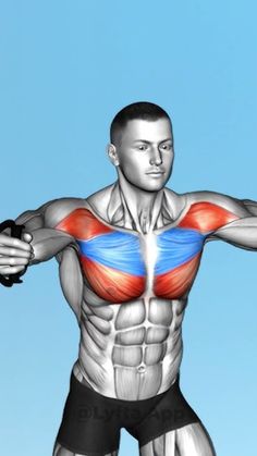 a drawing of a man with muscles highlighted in the chest and upper half, standing against a blue sky background