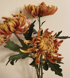 an arrangement of flowers in a vase on a table next to a wall with white walls