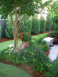 a garden with lots of plants and trees