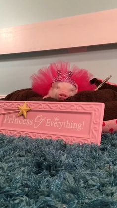 a baby in a pink dress and tiara laying on a blue carpet with a sign that says princess everything