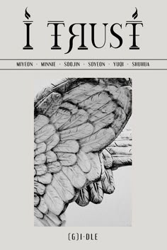 the front cover of i trust magazine, featuring an image of a bird's wing