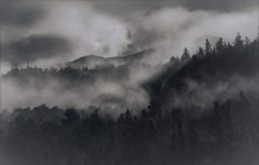 black and white photograph of trees in the mountains with clouds rolling over them on a cloudy day