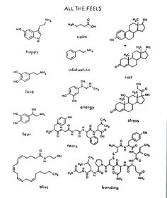 an image of the chemical formulas for different types of liquids and their names in black ink