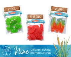 four different colored gummy bears in bags with the words minnesota on them and some grass