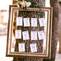 a tree with seating cards attached to it