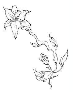 a black and white drawing of a flower