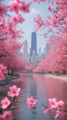 "Chicago's Spring Charm: Monet-Inspired Millennium Park Blooms" Chicago Flowers, Chicago Spring, Monet Inspired, Millennium Park, Chicago Art, Tic Tok, Latest Wallpapers, Chicago City, Spring Wallpaper