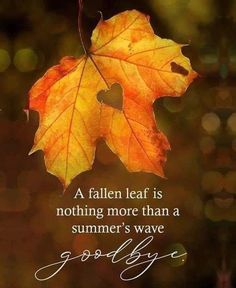 a fall leaf is nothing more than a summer's wave